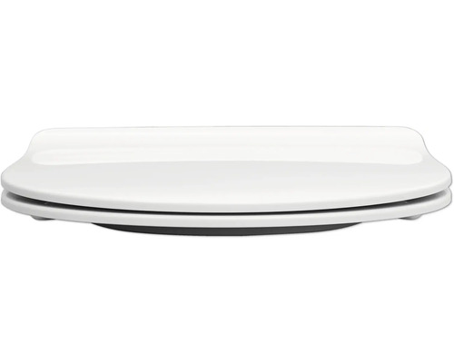 Toaletní sedátko ze sanitární keramiky