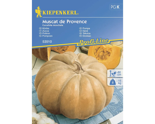 Tykev Muscat de Provence Kiepenkerl