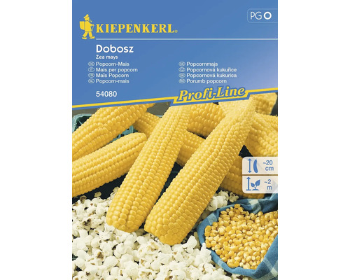 Kukuřice Popcorn Dobosz F1 Kiepenkerl