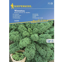 Kiepenkerl Winnetou Kapusta semínka
