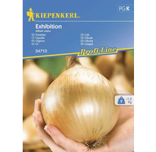 Balení semen cibule Kiepenkerl Exhibition