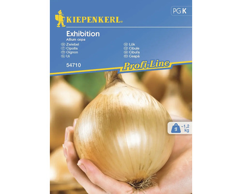 Cibule Exhibition Kiepenkerl
