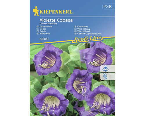 Vilec šplhavý Violette Cobaea Kiepenkerl