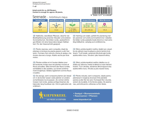 Balíček semen květin Serenade Antirrhinum Majus