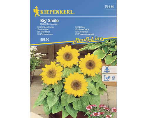 Slunečnice Big Smile Kiepenkerl