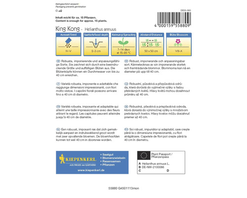 Balení semen slunečnice King Kong