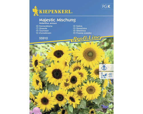 Slunečnice Majestic Kiepenkerl mix