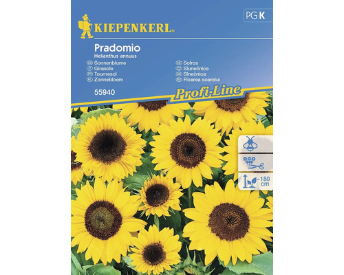 Slunečnice Pradomio Kiepenkerl
