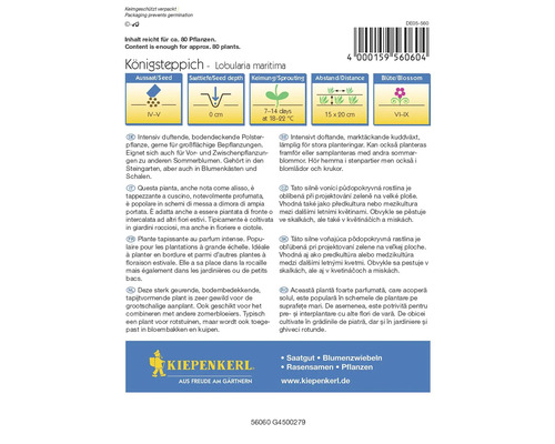 Balení semen tařičky přímořské