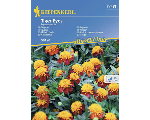 Aksamitník velkokvětý Tiger Eyes Kiepenkerl
