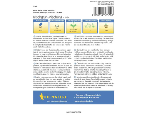 Směs čerstvé zeleně pro kočky, obsah pro přibližně 10 květináčů