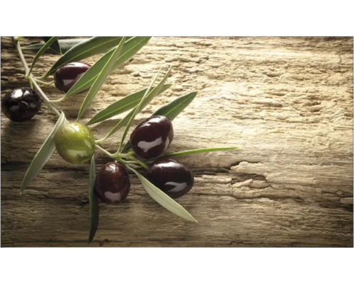 Obkladový panel do kuchyně mySpotti Profix olivová větev ze Středomoří 100 x 60 cm PX-10060-59-HB