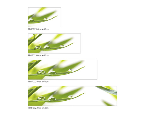 Dekorační fólie s motivem rostlin a kapkami vody v různých velikostech
