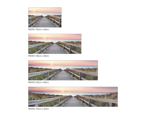 Fotografie Profix plážová cesta západ slunce v různých velikostech