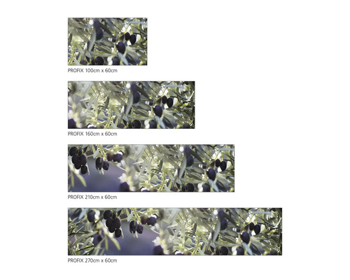 Kuchyňská zástěna Profix v různých velikostech s motivem oliv
