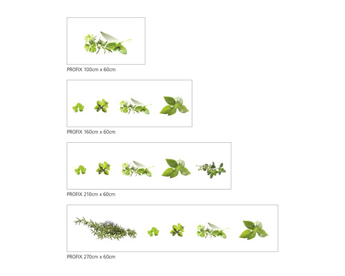 Zástěna Profix s motivem bylinek v různých velikostech