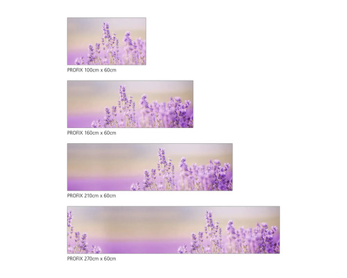 Zástěna PROFIX s motivem levandule v různých velikostech
