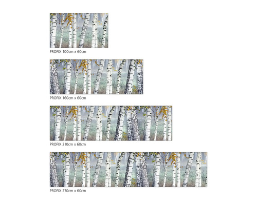 Přehled různých velikostí lepicí fólie PROFIX s motivem břízy, k dostání ve velikostech 100 cm x 60 cm, 160 cm x 60 cm, 210 cm x 60 cm a 270 cm x 60 cm.