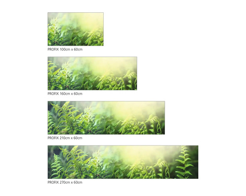 Dekorační fólie Profix s motivem kapradiny v různých velikostech