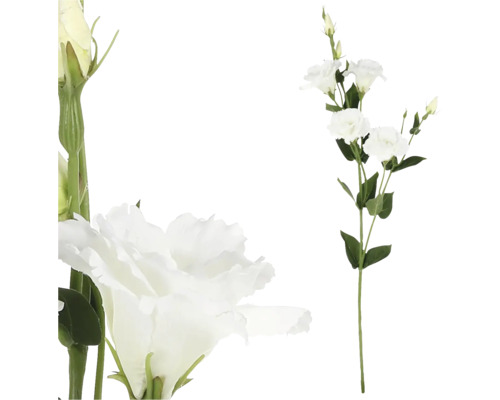 Umělá květina eustoma 80 cm bílá
