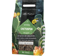 Lechuza Cactuspon speciální substrát pro kaktusy a sukulenty, 6 litrů