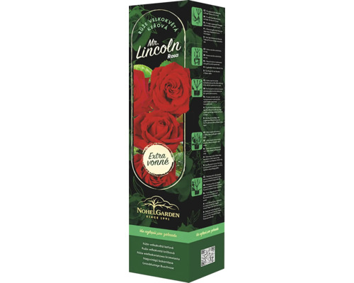 Růže keřová velkokvětá Fragrant Mister Lincoln