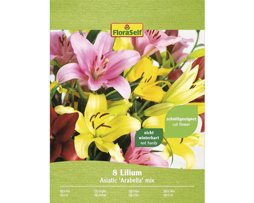 Lilie Asiatic Arabella FloraSelf směs barev 8 ks