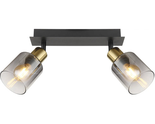 Stropní svítidlo se dvěma bodovými světly ze skla a kovu
