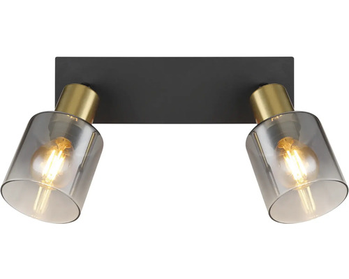 Stropní svítidlo se dvěma bodovými světly ze skla a kovu