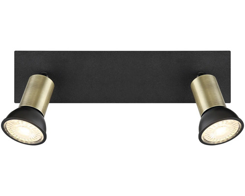 Stropní svítidlo se dvěma reflektory