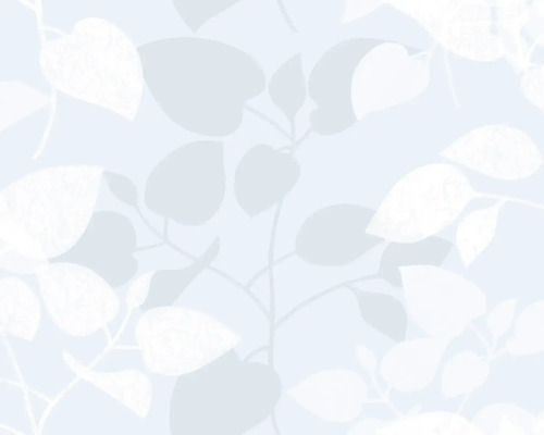 Tapeta se vzorem listů