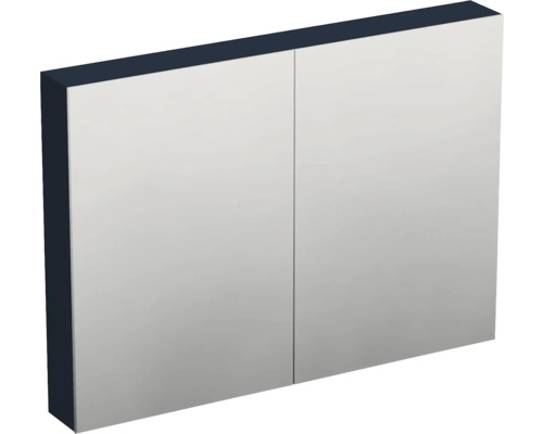 Zrcadlová skříňka bez osvětlení Jungborn TRENTA 100 x 14,4 x 72 cm holubí modř Zrcadlová skříňka se dvěma dvířky