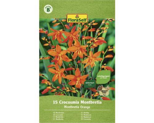 Montbrécie - Crocosmia oranžová Floraself 15 ks