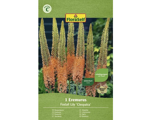 Balení liliochvostce odrůdy ''Kleopatra'' od FloraSelf