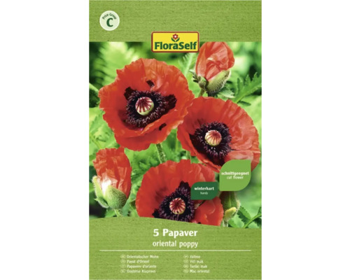 Mák orientální FloraSelf Papaver oriental poppy 5 ks