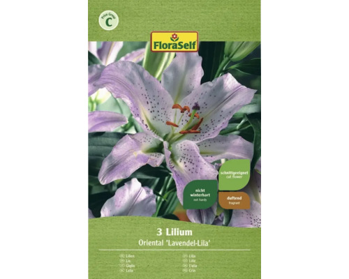 Lilie Oriental Floraself fialová 3 ks