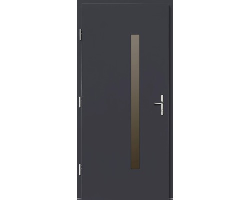 Vchodové dveře Silves dřevěné 110x210 cm L antracit