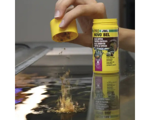 Krmivo pro ryby JBL NovoBel se sype do akvária