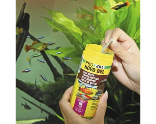 Krmivo pro ryby JBL NovoBel před akváriem