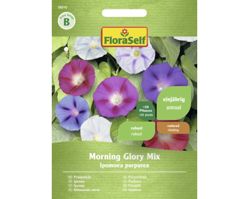 Povijnice Morning Glory mix FloraSelf