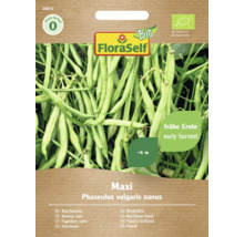 Fazole keříčková BIO Maxi FloraSelf Bio