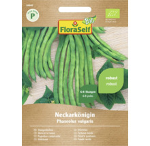 Fazole tyčková BIO Neckarkönigin FloraSelf Bio