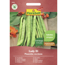 Fazole šarlatová Lady Di FloraSelf Select