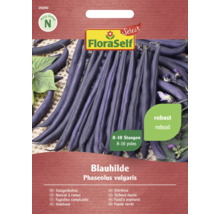 Fazole tyčková Blauhilde FloraSelf Select