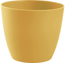 Žlutý květináč
