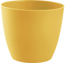 Žlutý květináč