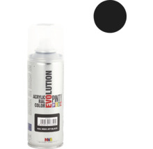 Pinty Plus Evolution sprej Jet Black RAL 9005