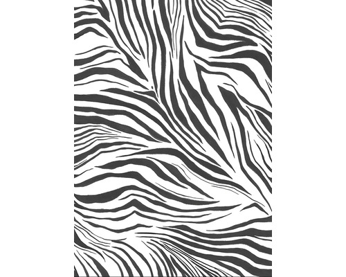 Vliesový panel ZEBRA Stay Wild 200x280 cm
