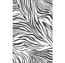 Vzor zebra