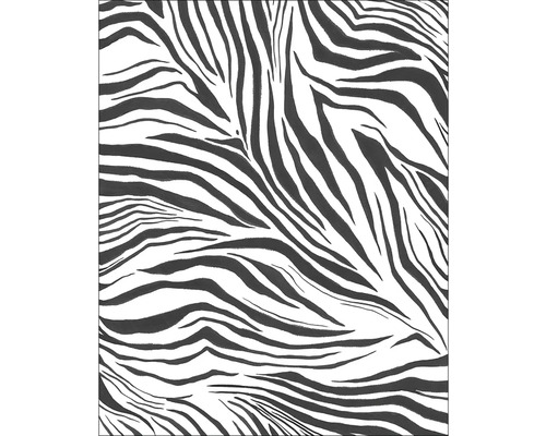 Vliesový panel ZEBRA Stay Wild 200x250 cm